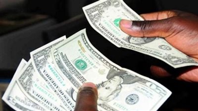 سعر الدولار Dollar يقفز إلى 29 جنيها مصرياً (صورة)