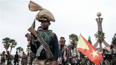 إثيوبيا.. متمردو تيغراي يبدأون بتسليم أسلحتهم الثقيلة