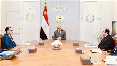 الرئيس السيسي يوجه بتعزيز جهود تطوير قطاع الطيران المدني