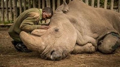 القصة الكاملة حول ما حدث مع 