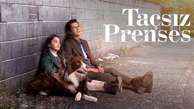 أدق التفاصيل حول مسلسل أميرة بلا تاج الذي تصدر محركات البحث (أسماء الأبطال وموعد العرض)