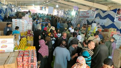 مصر.. مطالب بالتوسع في إقامة معارض 