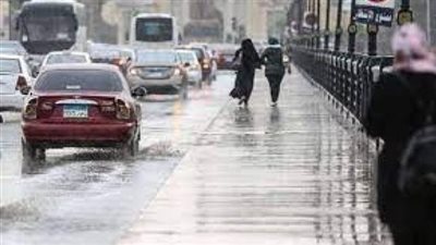 هيئة الأرصاد المصرية توضح.،. هل تتأثر البلاد بمنخفض جوي مُنتظر؟ (فيديو)