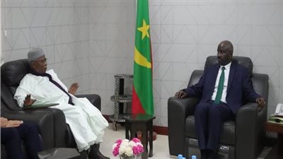  الرئيس الموريتاني يلتقي الأمينَ العام لمنظمة التعاون الإسلامي