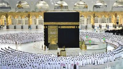  بالرقم القومي أو بالاسم... الاستعلام عن نتيجة قرعة حج السياحة 2023