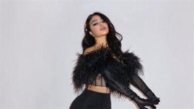  وصفوها بالملكة.. هيفاء وهبي ترتدي بدلة سوداء مزينة بالريش.. فما قصة فيلم 