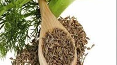 فوائد اليانسون...مُضادّ بكتيريّ قوى ومسكن للالام