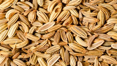 أضرار الشمر للتخسيس.. خطر على مرضى الحساسية