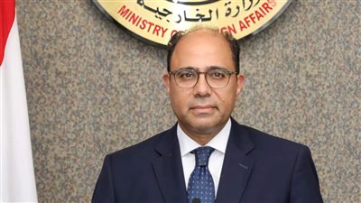 الخارجية المصرية تعلق على تصريحات حسن نصر الله بشأن مصر: عبثية تحاول استدعاء بطولات زائفة
