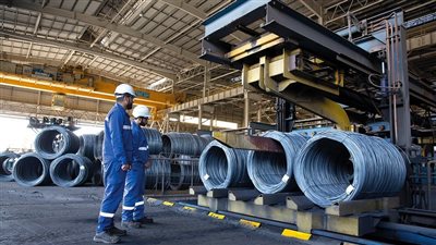 مصر.. الكشف عن أهمية مبادرة دعم الصناعة والزراعة لإنقاذ القطاعات الإنتاجية