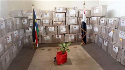 مصر تسلم شحنة مساعدات طبية ودوائية لدولة جنوب السودان
