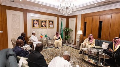 ولي العهد السعودي يتلقى رسالة شفوية من رئيس جمهورية تشاد