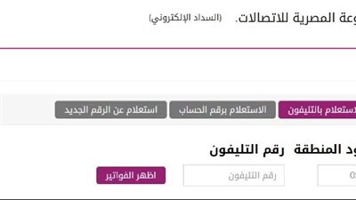 عن طريق رقم الارضي موقع المصرية للاتصالات.. طرق الاستعلام عن فاتورة التليفون الارضي 2023 
