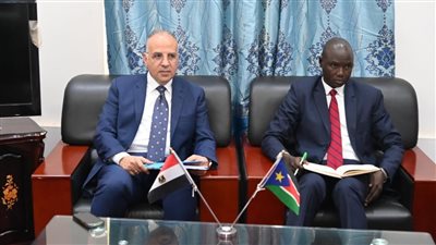 بحضور وزير الري.. الاتفاق على تعاون مصري سوداني على كافة الأصعدة 