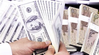 سعر الدولار اليوم 25 يناير 2023 في مصر بالبنك المركزي المصري