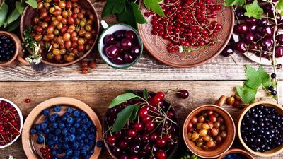 أكلات لعلاج الإمساك للكبار.. ملينات طبيعية للبطن تغنيك عن الأدوية