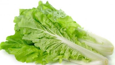 ما هي اضرار اكل الخس؟.. أحذر الإفراط 