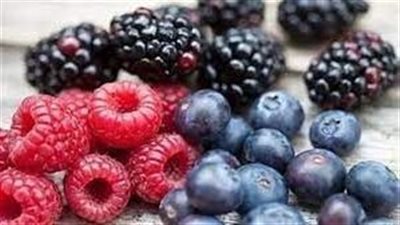 فوائد التوت البري للحامل.. يقى من تشوهات الأجنة