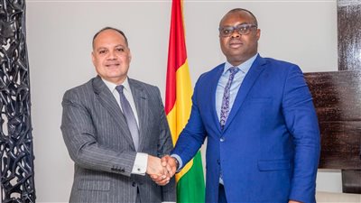 السفير المصري في كوناكري يلتقي مع رئيس وزراء غينيا 