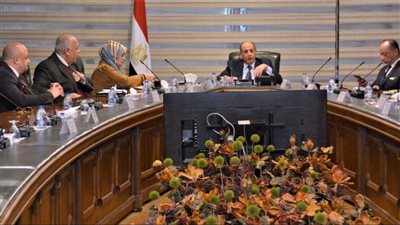 وزير الطيران يبحث مع ممثلي شركات الطيران الخاصة آليات تعزيز منظومة النقل الجوي