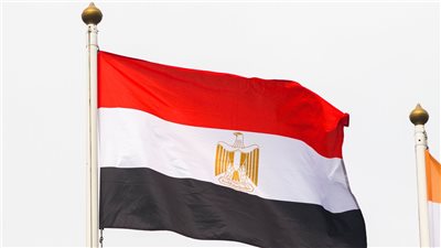 برلماني مصري: التكامل المؤسسي وتنمية التمكين الاقتصادي للمرأة ضرورة لنبذ العنف الأسري 