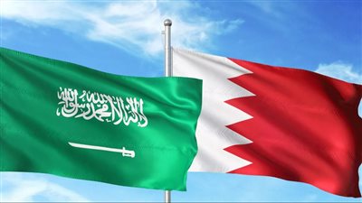  سفير السعودية لدى تونس يلتقي نظيره البحريني