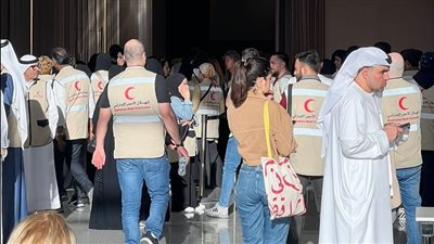 كيف تشكل حملة 