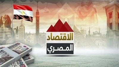 خبير: عدد الشركات الخليجية المستثمرة بالسوق المصري من 11 إلى 12 ألف شركة