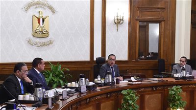 رئيس الوزراء يتابع تنفيذ خطة تطوير وتنمية سيناء 