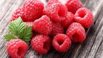 كيف يستخدم التوت البري؟.. إليك أكثر من طريقة 