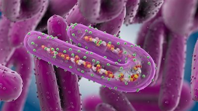 بعد ما أثار الذعر.. ما هي أعرض فيروس ماربورغ بعد حديث منظمة الصحة العالمية (WHO) عن خطورته؟