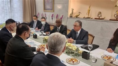 رئيس اقتصادية قناة السويس يبحث التعاون المشترك مع DAI اليابانية في قطاع الإنشاءات