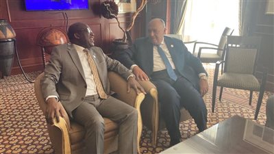 سامح شكري يلتقي وزير خارجية جمهورية الكونغو الديمقراطية على هامش أعمال المجلس التنفيذي للاتحاد الإفريقي