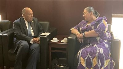 وزير الخارجية يلتقي مع مبعوثة سكرتير عام الأمم المتحدة الخاصة للقرن الإفريقي