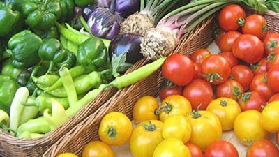 مصر.. إشادة بجهود الدولة لتحقيق الأمن الغذائي خلال السنوات الماضية