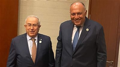 وزير الخارجية يلتقي نظيره الجزائري