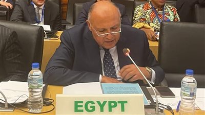 خلال القمة الإفريقية.. شكري يستعرض نتائج COP27 أمام لجنة الرؤساء الأفارقة المعنية بتغير المُناخ