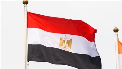 مصر.. الكشف عن أهمية تقنين المنشآت الصناعية غير المرخصة   