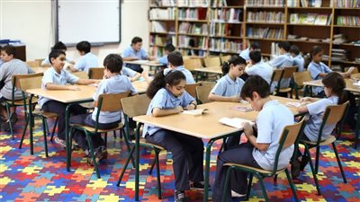 مصر.. طلب إحاطة برلماني بشأن تراجع دور حصة المكتبة بالمدارس