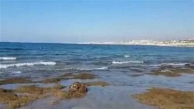 رئيس المعهد القومي للبحوث الفلكية والجيوفيزية بمصر يحسم الجدل حول انخفاض منسوب مياه البحر المتوسط (صور)