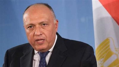 وزير الخارجية المصري يتلقى اتصالًا هاتفيًا من نظيره الفنزويلي